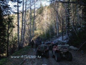 �������� ��������� ���������