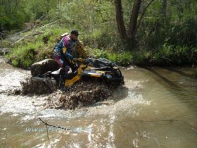 �������� ��������� ���������