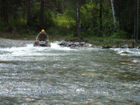 �������� ��������� ���������